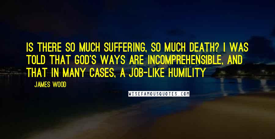 James Wood Quotes: Is there so much suffering, so much death? I was told that God's ways are incomprehensible, and that in many cases, a Job-like humility