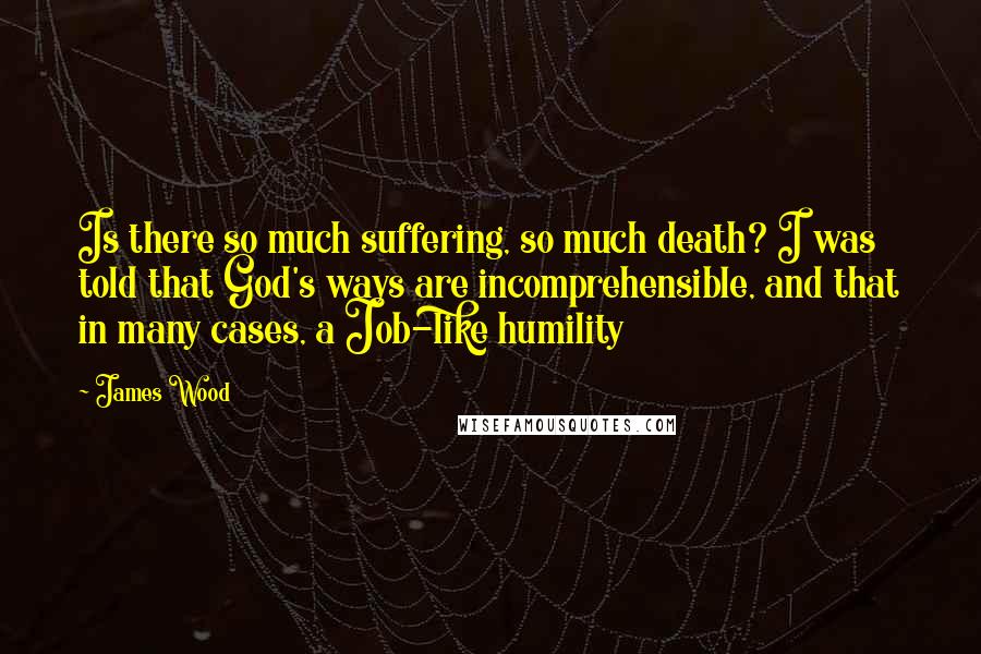 James Wood Quotes: Is there so much suffering, so much death? I was told that God's ways are incomprehensible, and that in many cases, a Job-like humility