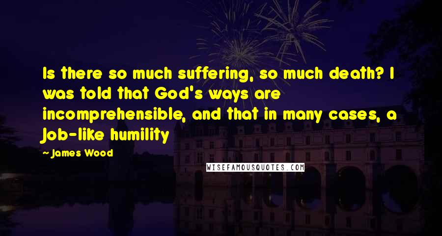 James Wood Quotes: Is there so much suffering, so much death? I was told that God's ways are incomprehensible, and that in many cases, a Job-like humility