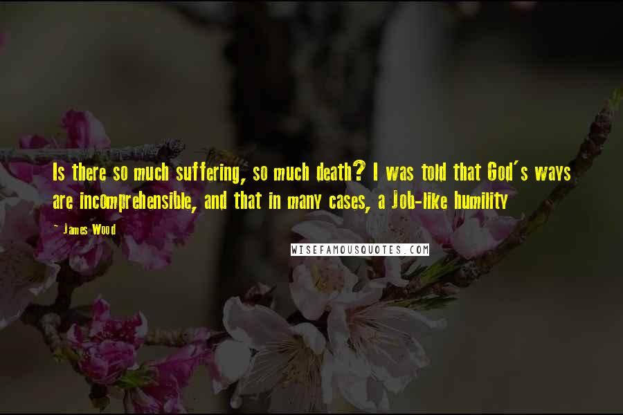 James Wood Quotes: Is there so much suffering, so much death? I was told that God's ways are incomprehensible, and that in many cases, a Job-like humility