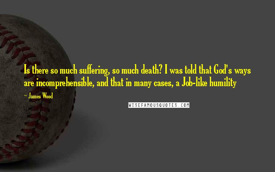 James Wood Quotes: Is there so much suffering, so much death? I was told that God's ways are incomprehensible, and that in many cases, a Job-like humility