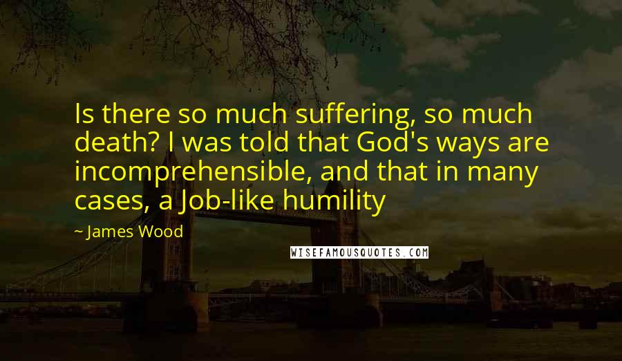 James Wood Quotes: Is there so much suffering, so much death? I was told that God's ways are incomprehensible, and that in many cases, a Job-like humility
