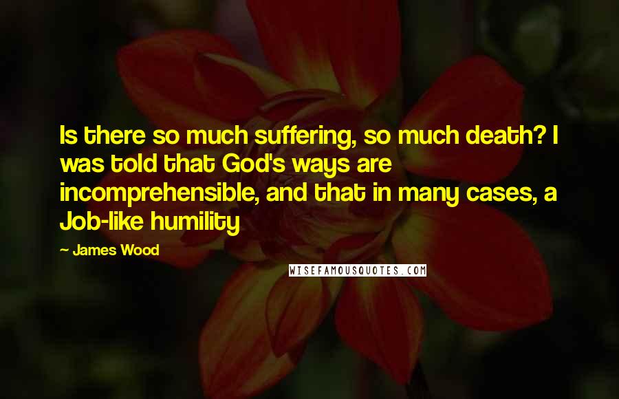 James Wood Quotes: Is there so much suffering, so much death? I was told that God's ways are incomprehensible, and that in many cases, a Job-like humility