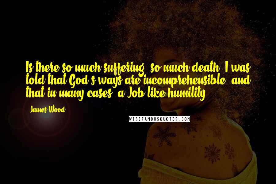 James Wood Quotes: Is there so much suffering, so much death? I was told that God's ways are incomprehensible, and that in many cases, a Job-like humility