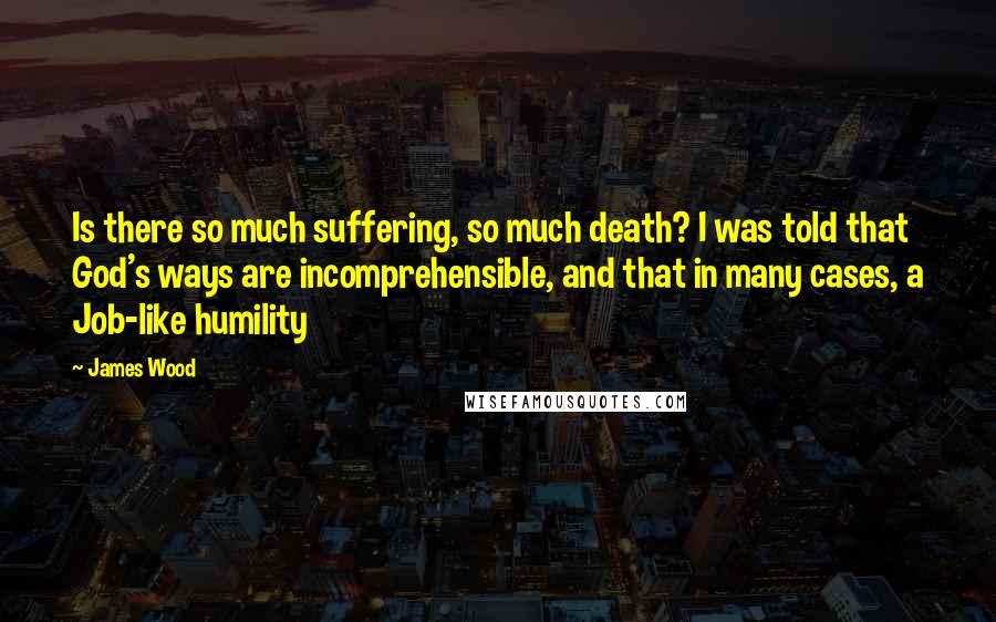 James Wood Quotes: Is there so much suffering, so much death? I was told that God's ways are incomprehensible, and that in many cases, a Job-like humility