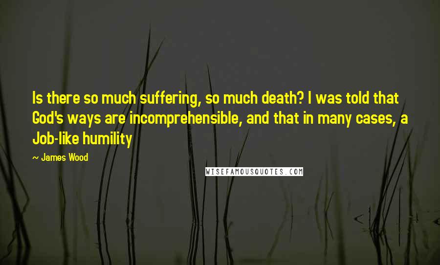 James Wood Quotes: Is there so much suffering, so much death? I was told that God's ways are incomprehensible, and that in many cases, a Job-like humility