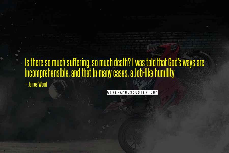 James Wood Quotes: Is there so much suffering, so much death? I was told that God's ways are incomprehensible, and that in many cases, a Job-like humility