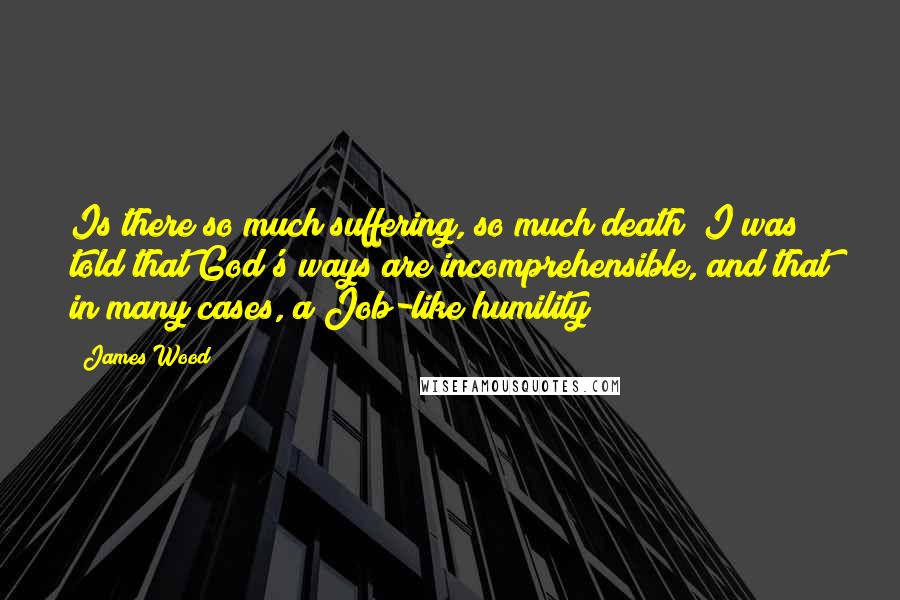 James Wood Quotes: Is there so much suffering, so much death? I was told that God's ways are incomprehensible, and that in many cases, a Job-like humility