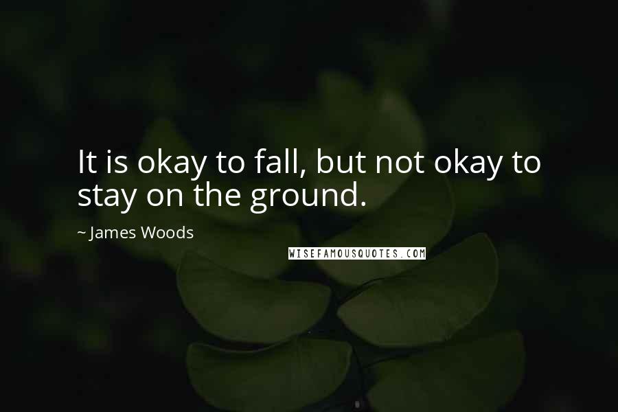 James Woods Quotes: It is okay to fall, but not okay to stay on the ground.