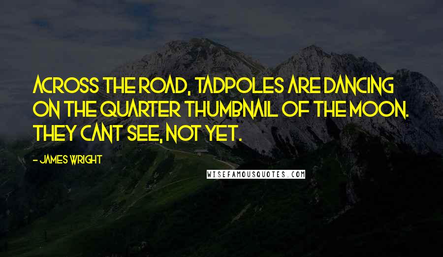 James Wright Quotes: Across the road, tadpoles are dancing on the quarter thumbnail of the moon. They cant see, not yet.