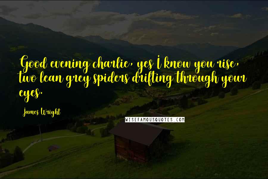James Wright Quotes: Good evening charlie, yes I know you rise, two lean grey spiders drifting through your eyes.