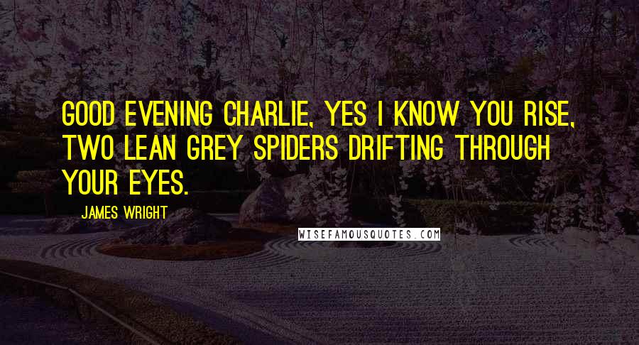James Wright Quotes: Good evening charlie, yes I know you rise, two lean grey spiders drifting through your eyes.