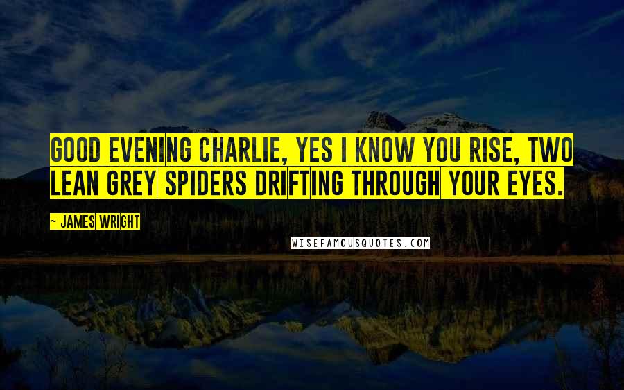 James Wright Quotes: Good evening charlie, yes I know you rise, two lean grey spiders drifting through your eyes.