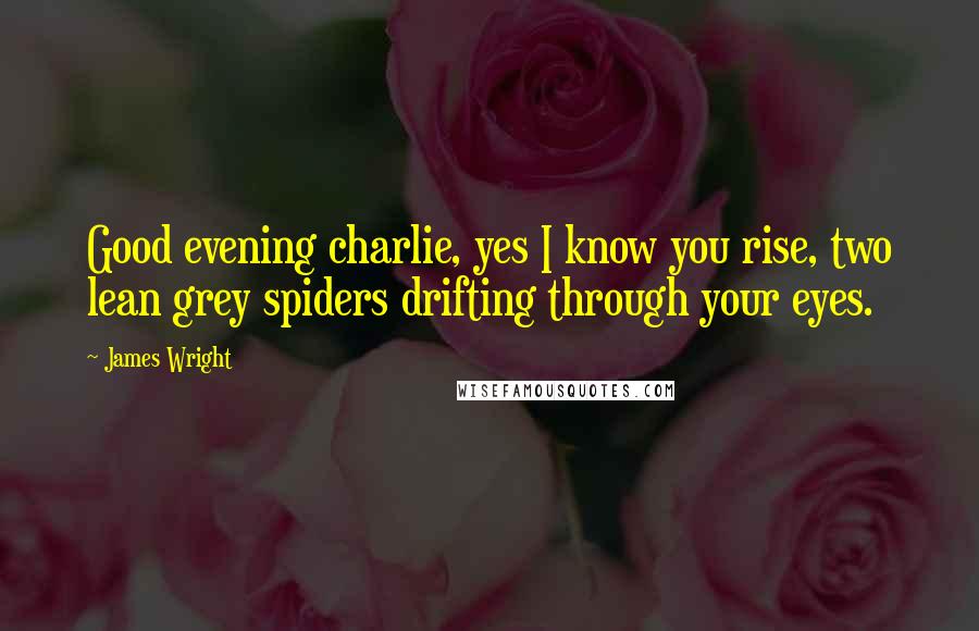 James Wright Quotes: Good evening charlie, yes I know you rise, two lean grey spiders drifting through your eyes.