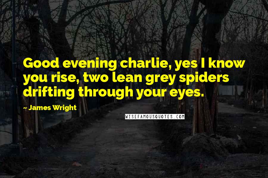 James Wright Quotes: Good evening charlie, yes I know you rise, two lean grey spiders drifting through your eyes.