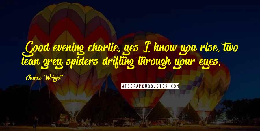 James Wright Quotes: Good evening charlie, yes I know you rise, two lean grey spiders drifting through your eyes.