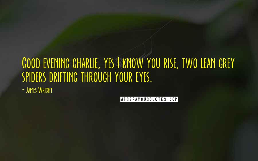 James Wright Quotes: Good evening charlie, yes I know you rise, two lean grey spiders drifting through your eyes.