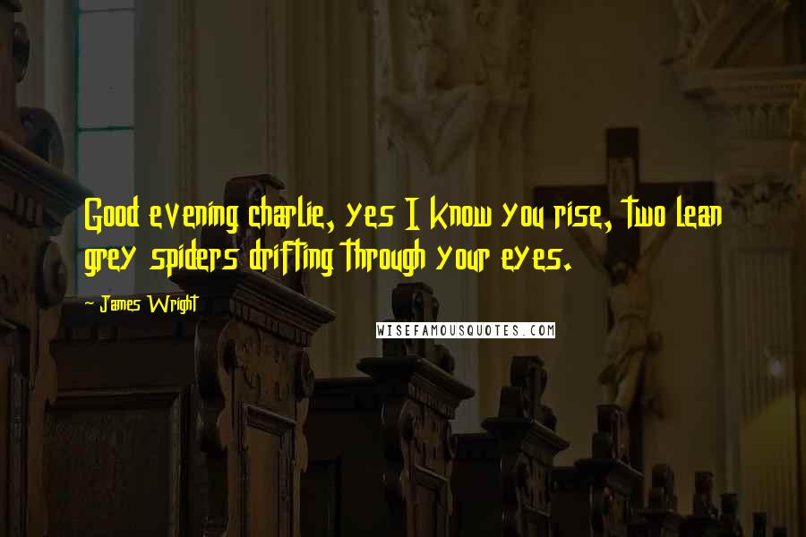James Wright Quotes: Good evening charlie, yes I know you rise, two lean grey spiders drifting through your eyes.