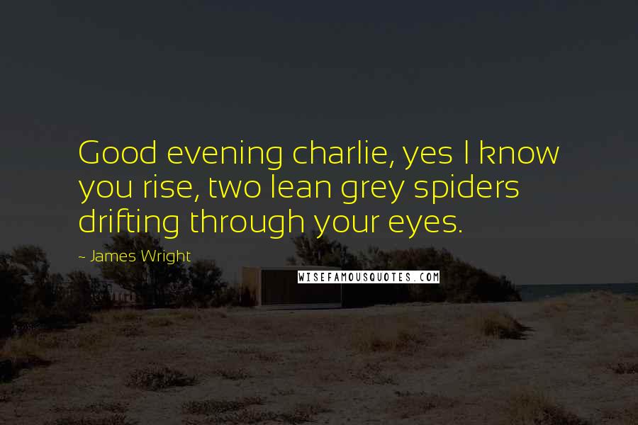 James Wright Quotes: Good evening charlie, yes I know you rise, two lean grey spiders drifting through your eyes.