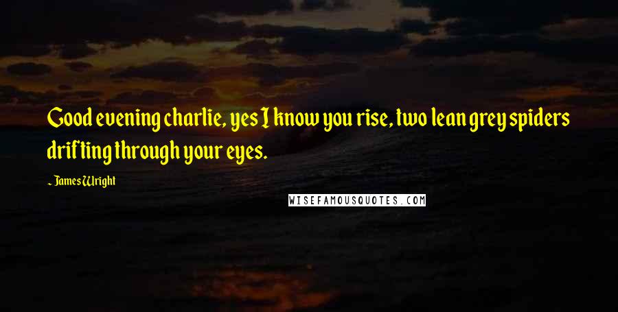 James Wright Quotes: Good evening charlie, yes I know you rise, two lean grey spiders drifting through your eyes.