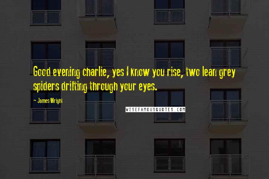James Wright Quotes: Good evening charlie, yes I know you rise, two lean grey spiders drifting through your eyes.