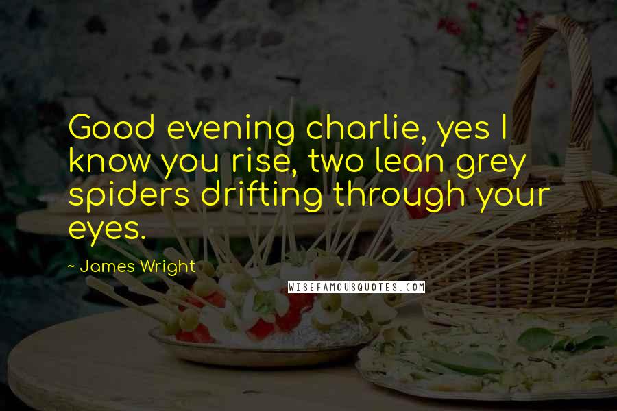 James Wright Quotes: Good evening charlie, yes I know you rise, two lean grey spiders drifting through your eyes.