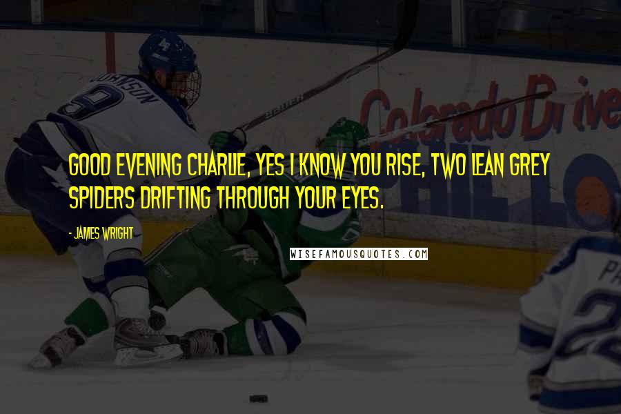James Wright Quotes: Good evening charlie, yes I know you rise, two lean grey spiders drifting through your eyes.
