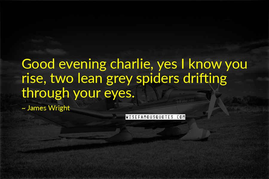 James Wright Quotes: Good evening charlie, yes I know you rise, two lean grey spiders drifting through your eyes.