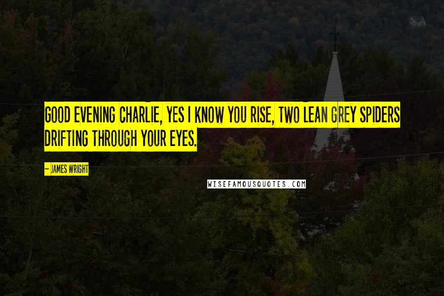James Wright Quotes: Good evening charlie, yes I know you rise, two lean grey spiders drifting through your eyes.