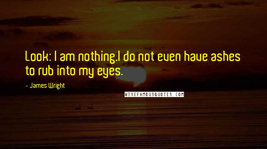 James Wright Quotes: Look: I am nothing.I do not even have ashes to rub into my eyes.