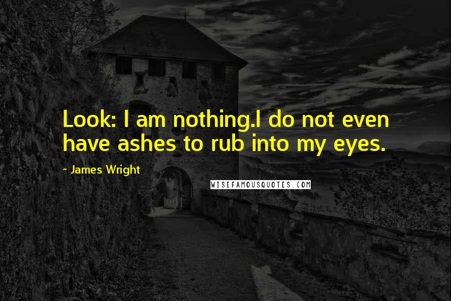 James Wright Quotes: Look: I am nothing.I do not even have ashes to rub into my eyes.