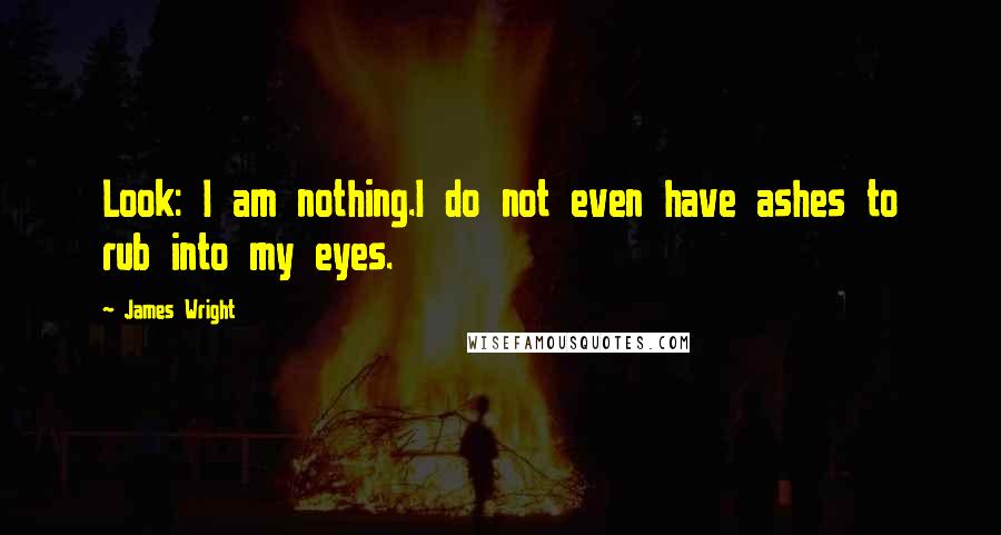 James Wright Quotes: Look: I am nothing.I do not even have ashes to rub into my eyes.