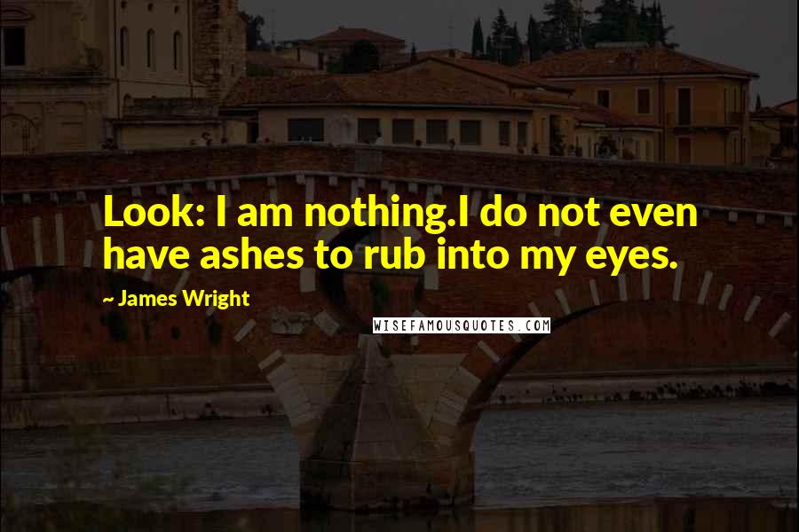 James Wright Quotes: Look: I am nothing.I do not even have ashes to rub into my eyes.