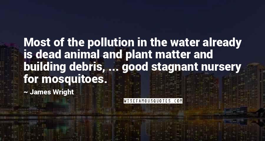 James Wright Quotes: Most of the pollution in the water already is dead animal and plant matter and building debris, ... good stagnant nursery for mosquitoes.