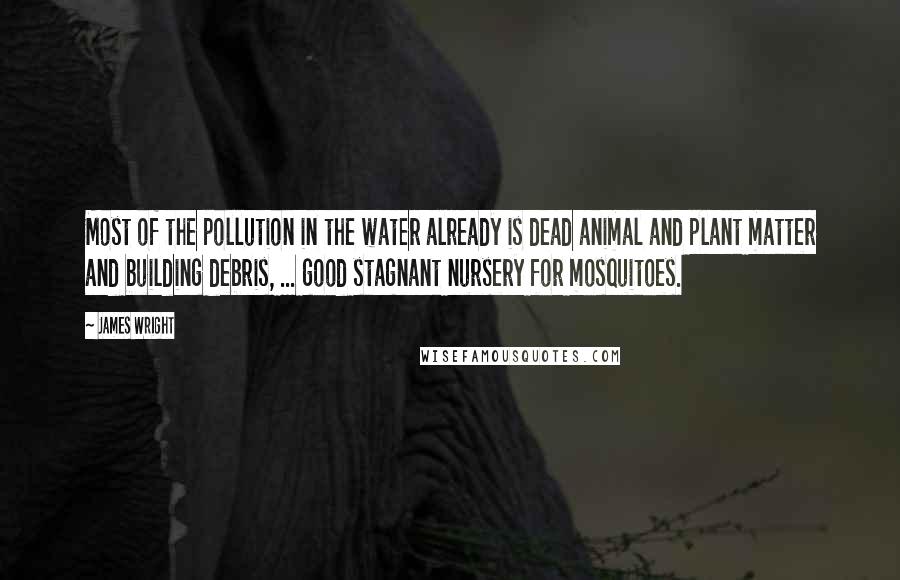 James Wright Quotes: Most of the pollution in the water already is dead animal and plant matter and building debris, ... good stagnant nursery for mosquitoes.