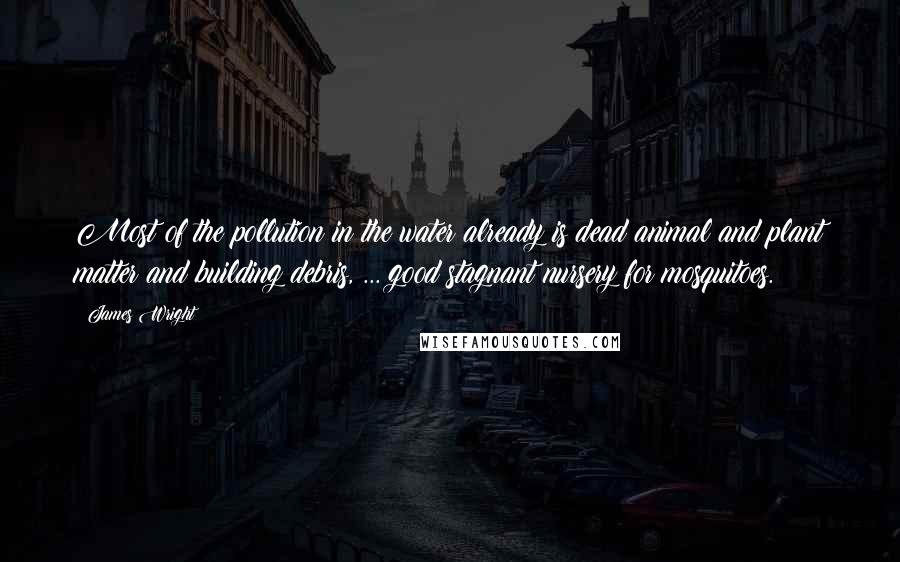 James Wright Quotes: Most of the pollution in the water already is dead animal and plant matter and building debris, ... good stagnant nursery for mosquitoes.