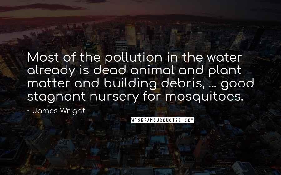 James Wright Quotes: Most of the pollution in the water already is dead animal and plant matter and building debris, ... good stagnant nursery for mosquitoes.