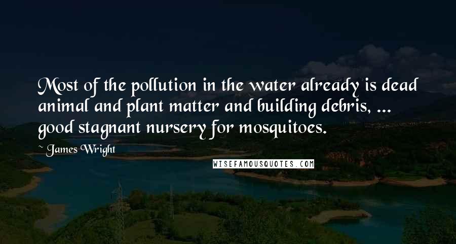 James Wright Quotes: Most of the pollution in the water already is dead animal and plant matter and building debris, ... good stagnant nursery for mosquitoes.