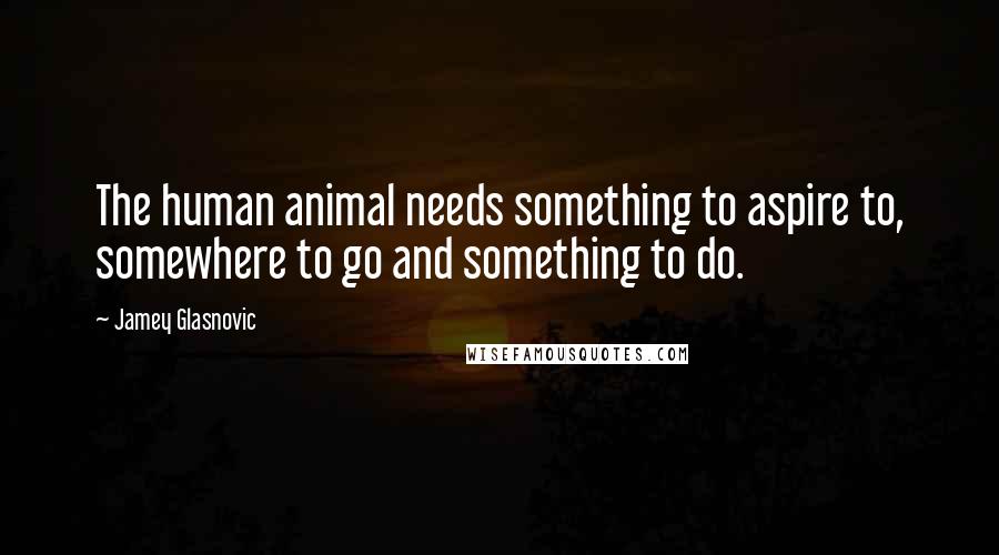 Jamey Glasnovic Quotes: The human animal needs something to aspire to, somewhere to go and something to do.