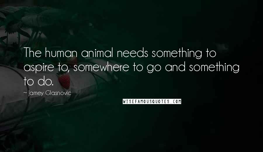 Jamey Glasnovic Quotes: The human animal needs something to aspire to, somewhere to go and something to do.