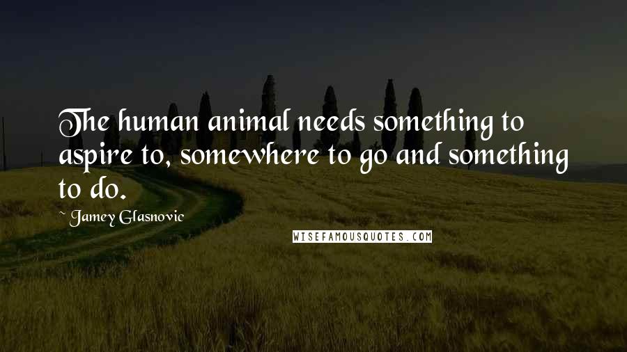 Jamey Glasnovic Quotes: The human animal needs something to aspire to, somewhere to go and something to do.