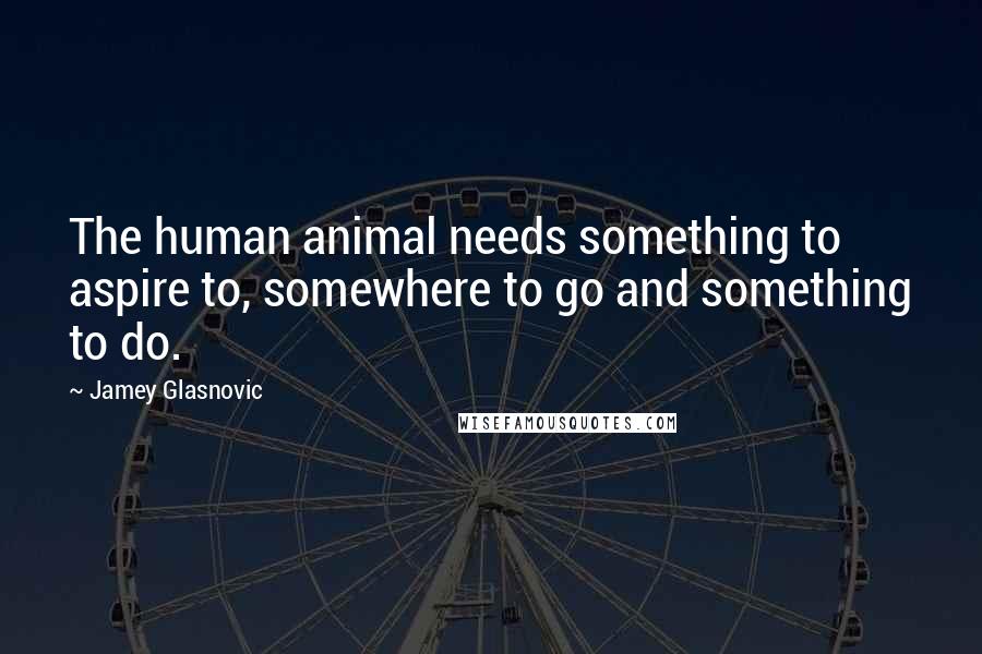 Jamey Glasnovic Quotes: The human animal needs something to aspire to, somewhere to go and something to do.