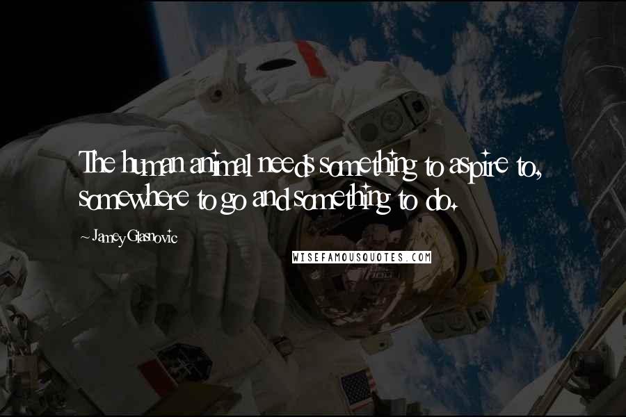 Jamey Glasnovic Quotes: The human animal needs something to aspire to, somewhere to go and something to do.