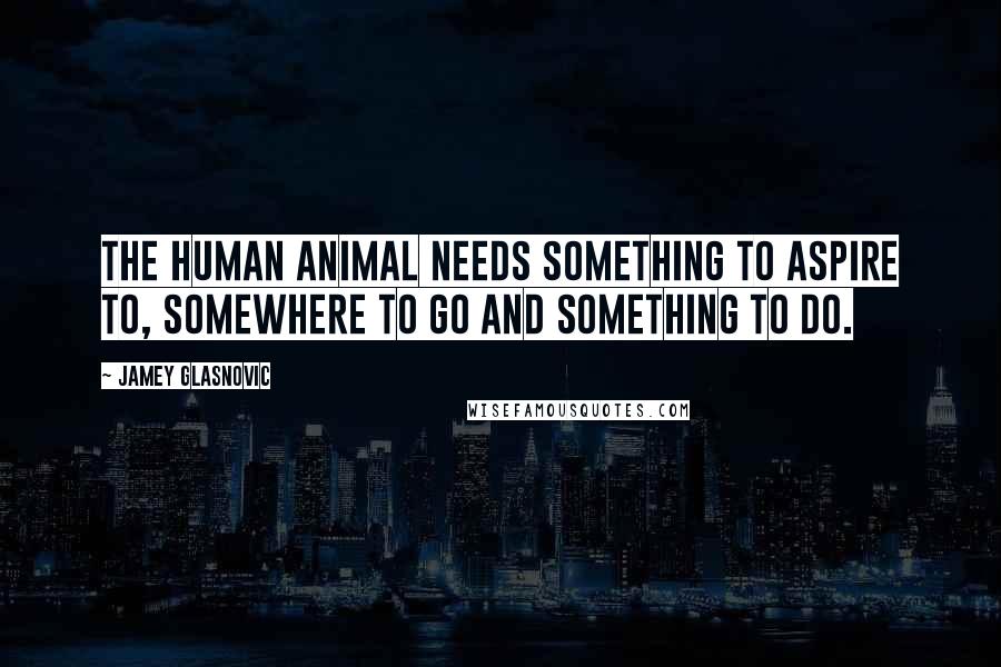 Jamey Glasnovic Quotes: The human animal needs something to aspire to, somewhere to go and something to do.