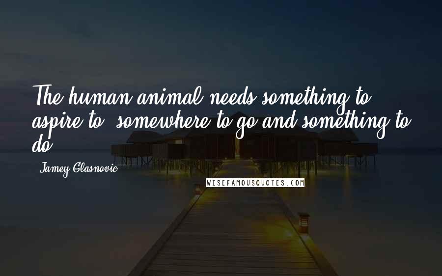 Jamey Glasnovic Quotes: The human animal needs something to aspire to, somewhere to go and something to do.