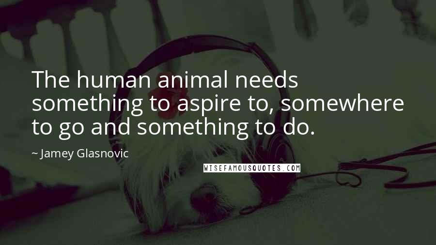 Jamey Glasnovic Quotes: The human animal needs something to aspire to, somewhere to go and something to do.