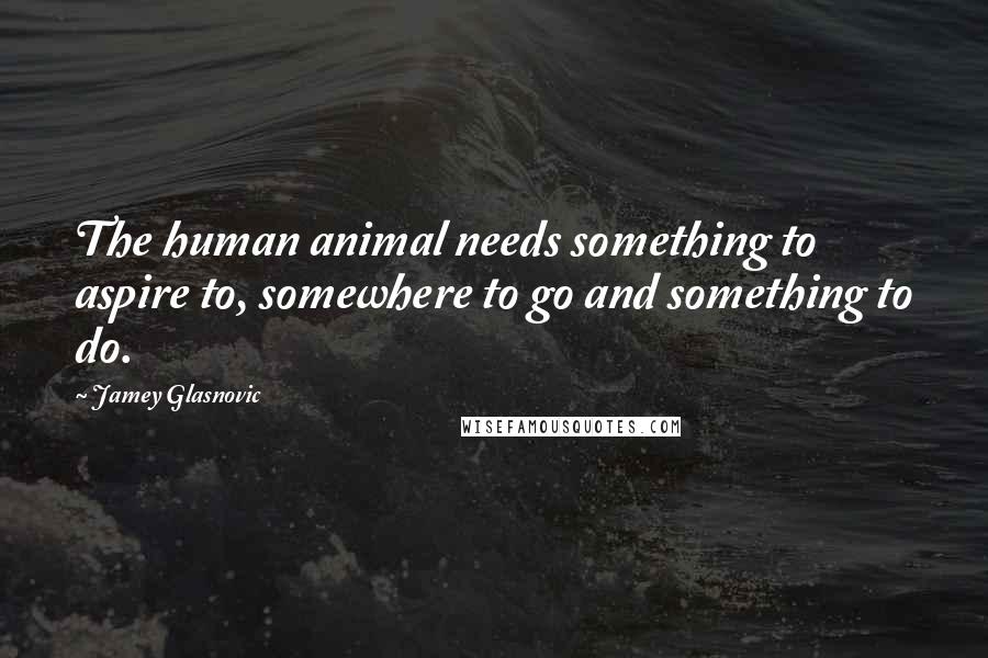 Jamey Glasnovic Quotes: The human animal needs something to aspire to, somewhere to go and something to do.