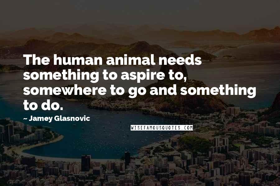 Jamey Glasnovic Quotes: The human animal needs something to aspire to, somewhere to go and something to do.