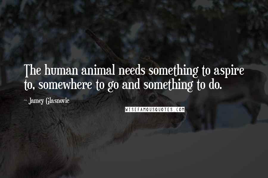 Jamey Glasnovic Quotes: The human animal needs something to aspire to, somewhere to go and something to do.