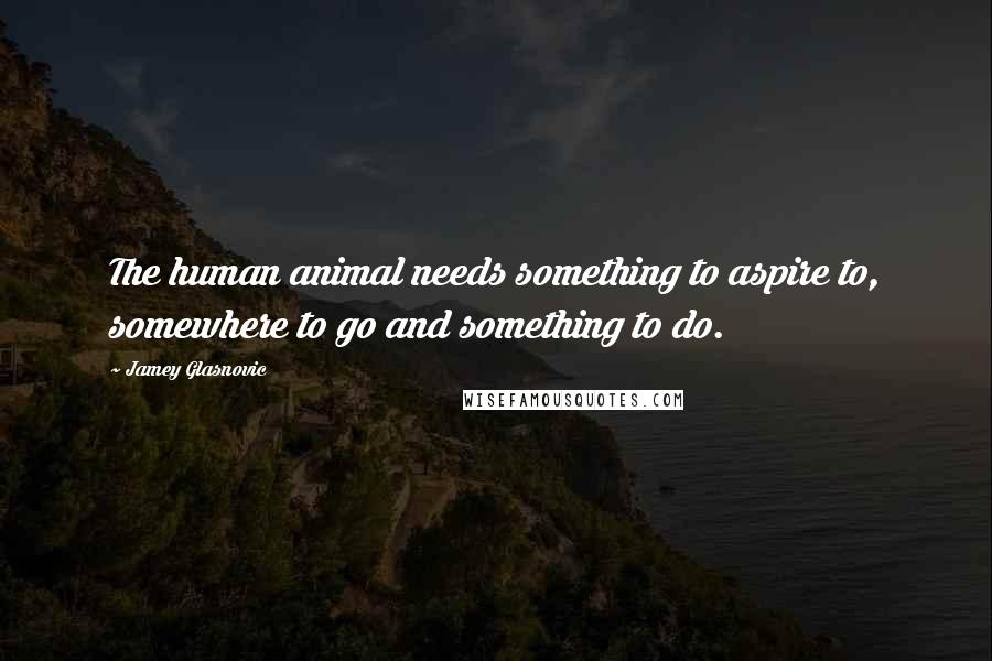 Jamey Glasnovic Quotes: The human animal needs something to aspire to, somewhere to go and something to do.